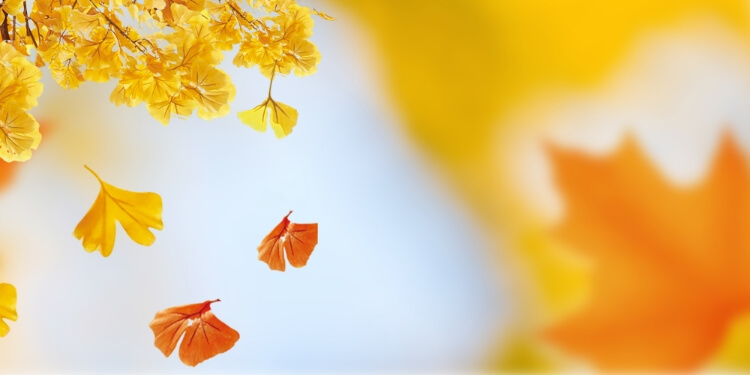 芒种